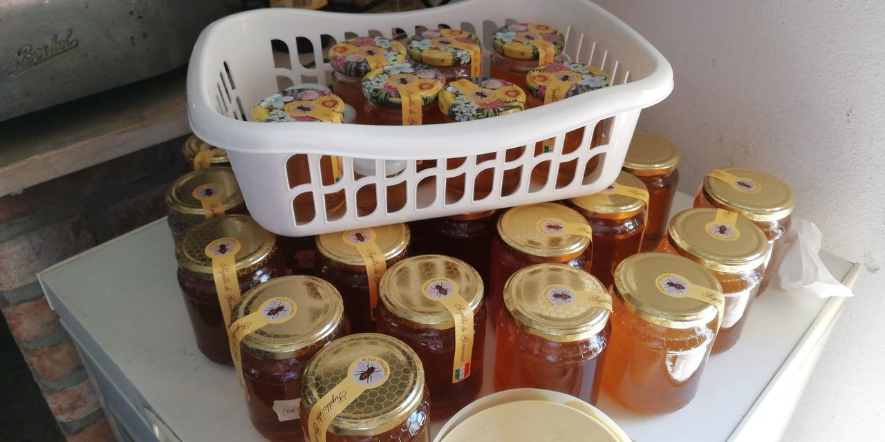L'Ape In Corte Casa Di Campagna, Via Francigena Stanze E Colazione Vaccarizza Exterior foto
